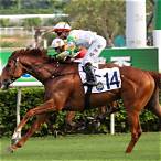 hkjc bet